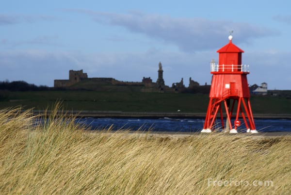 Faro HERD GROYNE 0