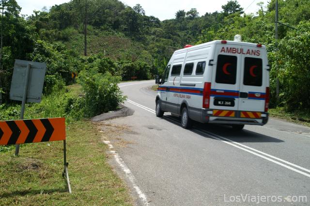 carretera borneo - Lio en la autopista