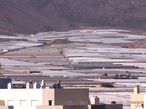 INVERNADEROS DE ALMERÍA-Exuberancia  plastificada 1