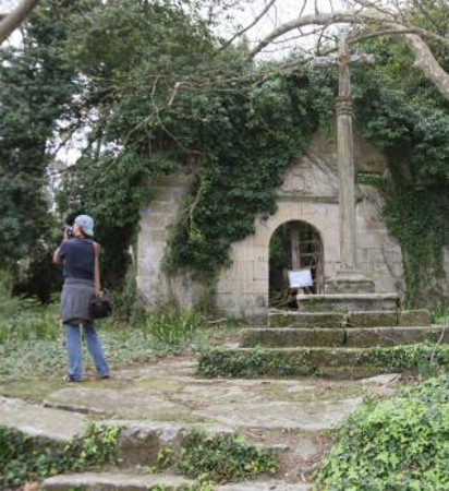 Isla de Cortegada, Pontevedra, Galicia 1