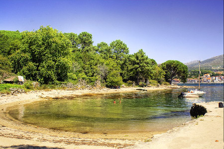 Isla de Cortegada, Pontevedra, Galicia 🗺️ Foro España 0