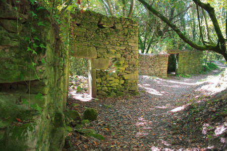 Isla de Cortegada, Pontevedra, Galicia 🗺️ Foro España 1