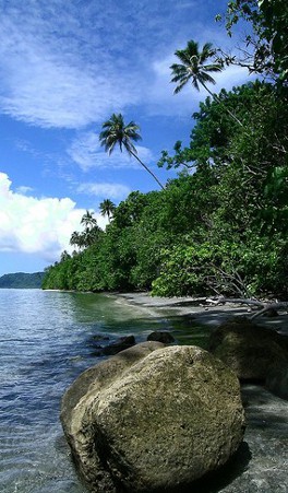 Isla de Tetepare, Islas Salomón 1