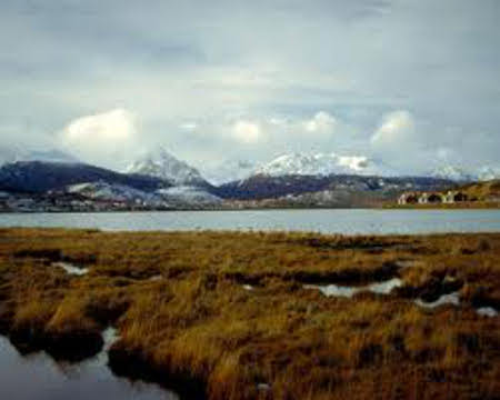 Isla Grande, Tierra del Fuego, Argentina 🗺️ Foro América del Sur y Centroamérica 1