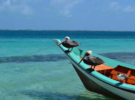 isla Los Roques, Venezuela 0