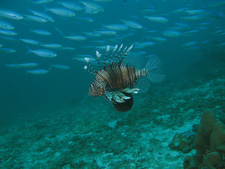 islas de Andamán, Tailandia 1