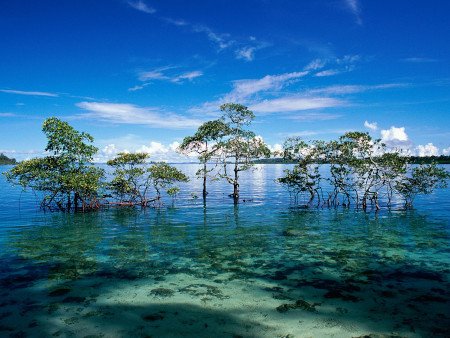 Islas Havelock, Islas Andamán y Nicobar, India 0