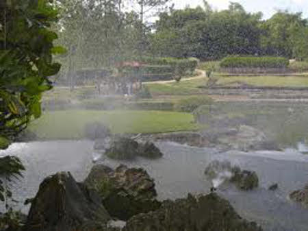 Jardín Botánico, La Habana, Cuba 0