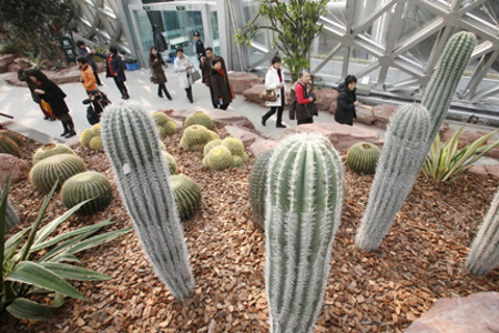 Jardin Botanico Chenshan, Songjiang, Shanghai, China 0