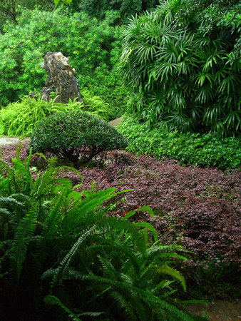 Jardín de Orquídeas, Guangzhou, China 🗺️ Foro China, el Tíbet y Taiwán 1