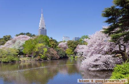 Jardín Nacional Shinjuku Gyoen, Tokio. Japón 0