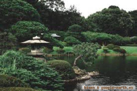 Jardín Nacional Shinjuku Gyoen, Tokio. Japón 1