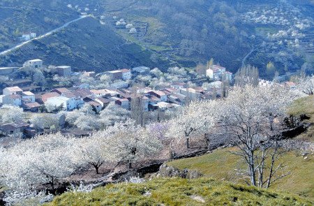 Jerte, Cáceres, Extremadura (Foto 9)