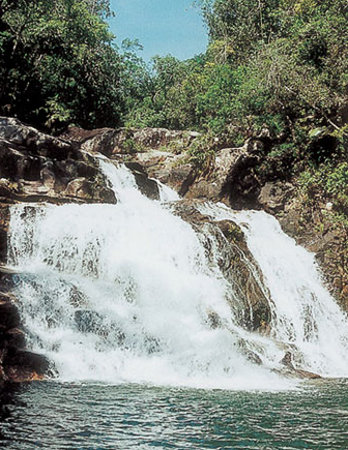 Parque Nacional Jianfengling, Hainan, China 2