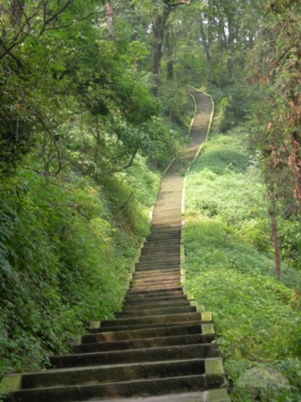 Emei Shan - Monte Emai - China 1