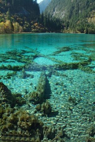 Cataratas del Valle de Jiuzhaigou, China 0