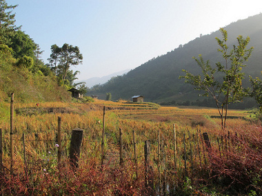 Kiphire, Nagaland, India 🗺️ Foro Asia 1