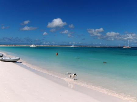 La Caracola, Porlamar, isla Margarita, Venezuela 0