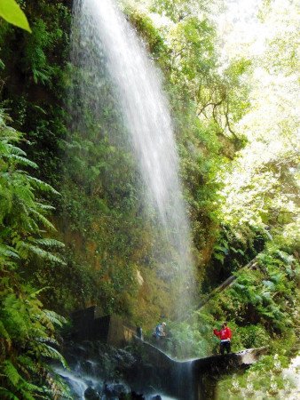 La Galga, La Palma, Canarias 1