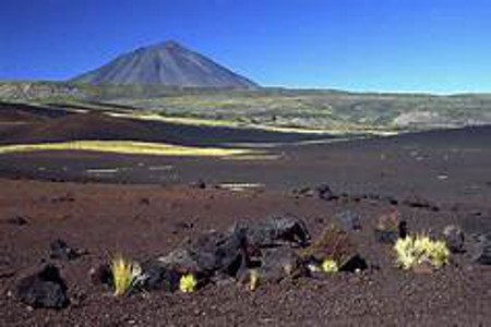 La Payunia, Mendoza, Argentina 0