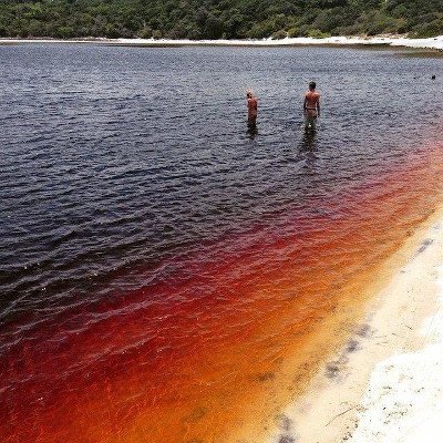 Lago Araraquara o Coca Cola, Rio Grande del Norte, Brasil 0