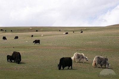 Lago Bayan, Bayan-Ölgiy, Mongolia 1