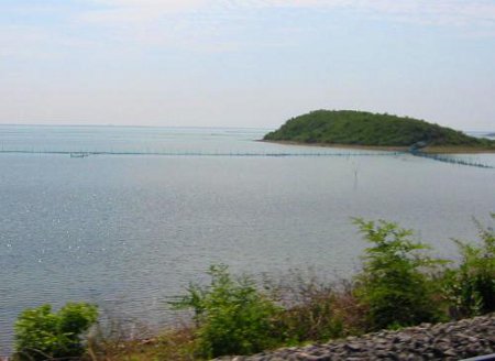 Lago Chilka, Orissa, India 1