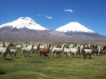 Lago Chungará, Putre, Chile 1