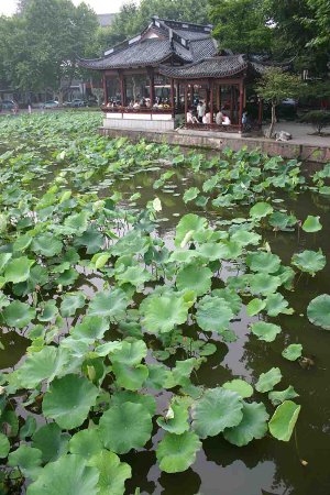 Lago del Oeste, Hangzhou, Zhejiang, China 0