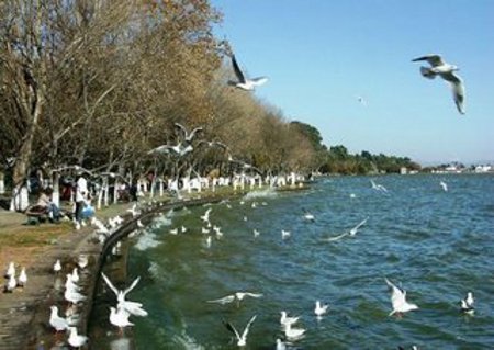 Lago Dianchi, Kunming, Yunnan, China 1