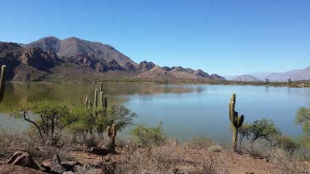 Laguna Brealito, Seclantas, Salta, Argentina 0