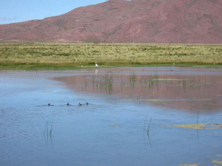 Laguna de los Pozuelos, Jujuy, Argentina 0