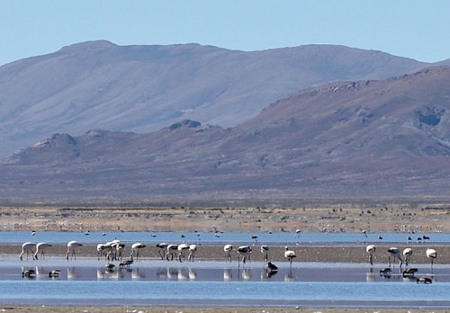 Laguna de los Pozuelos, Jujuy, Argentina 1