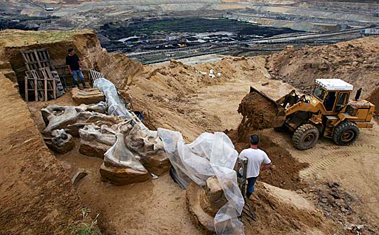 Restos de Fosiles y minerales (Localizacion) 1