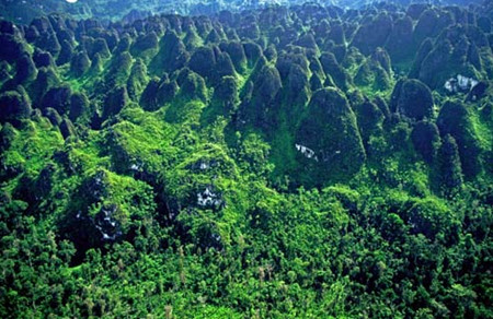 Mangkalihat, Kalimantan Oriental, Indonesia 0