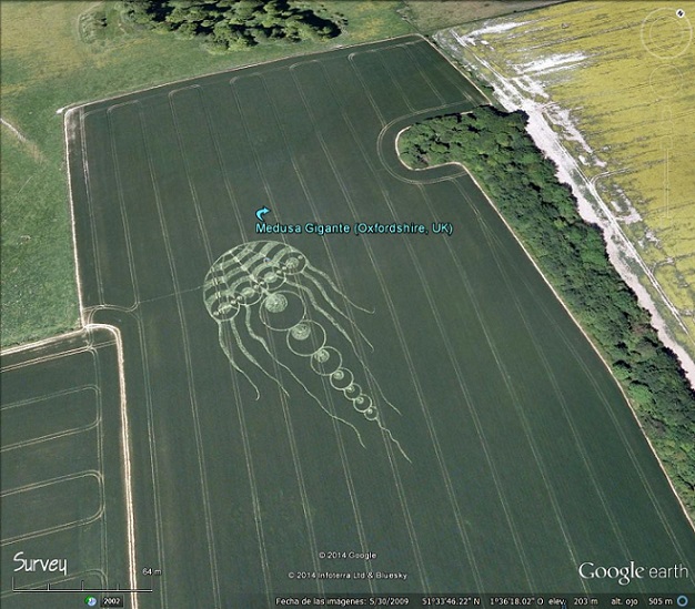 Medusa gigante - Oxfordshire, Inglaterra 0 - Dibujos o figuras gigantes en la superficie de la Tierra