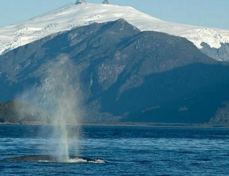 Melimoyu, Cisnes, Chile 1