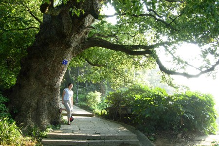 Miaozhuangyan, Zhejiang, China 2