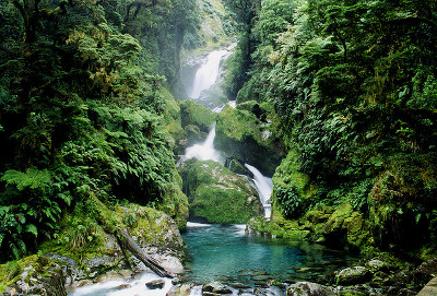 Milford Track, Southland, Nueva Zelanda 1