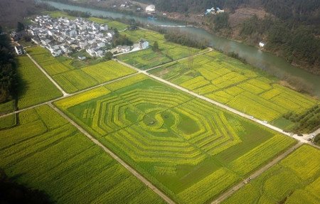 monte Qiyun, Xiuning, Anhui, China 1