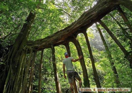 Monteverde, Costa Rica 1