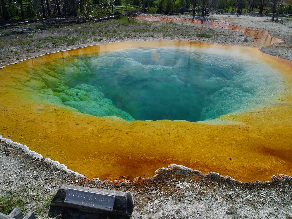 Yellowstone el parque de los geisers