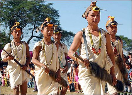 Parque Nacional Namdapha, Assam, India 0