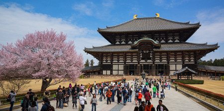 Nara, Prefectura de Nara, Japón 0