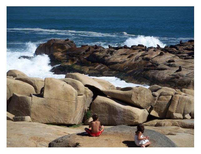 CABO POLONIO- Naturaleza, paz y armonía 🗺️ Foro América del Sur y Centroamérica 0