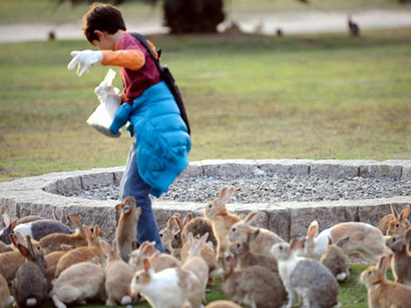 Okunoshima, Takehara, Hiroshima, Japón 1