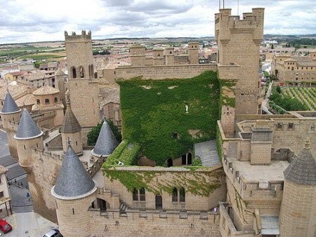 Olite, Navarra (Foto 3)