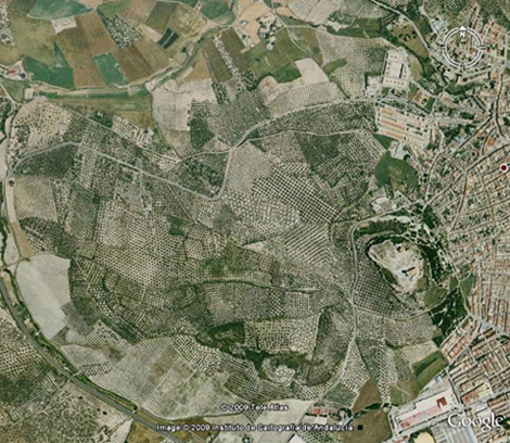 Achivo del Concurso de Google Earth - Temas viejos