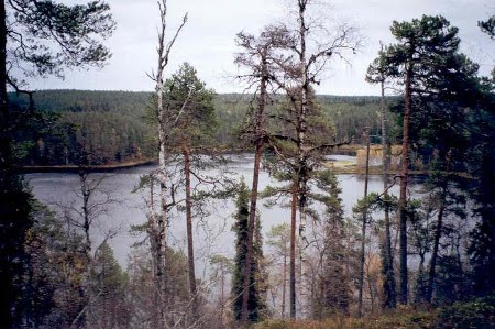 Parque Nacional de Oulanka, Finlandia 🗺️ Foro Europa 2