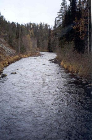 Parque Nacional de Oulanka, Finlandia 2